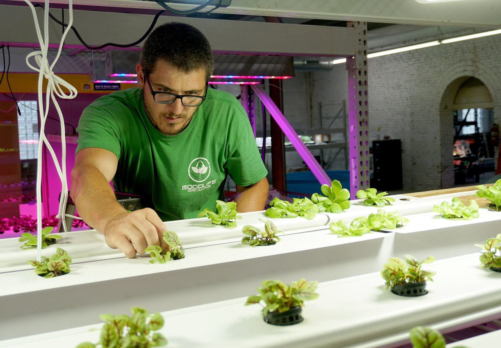 The Greencubator